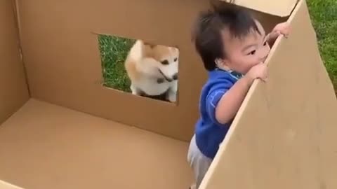 Baby playing ball with dog