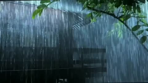 Tranquil Rainfall: Nature's Symphony for Peace, Relaxation, and Sleep