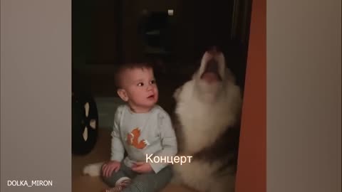 FUNNY DOG VIDEOS U CANT STOP LAUGHING AT🤣❤️