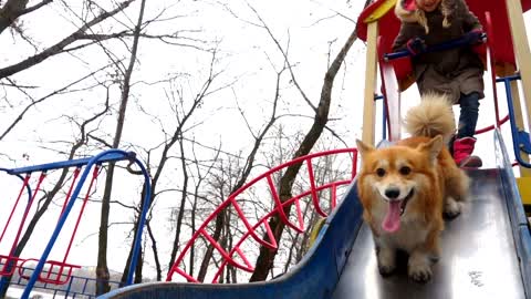 Girl With The Dog On A Playground