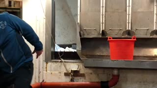 Fisherman Defies Gravity While Jumping on Board Boat