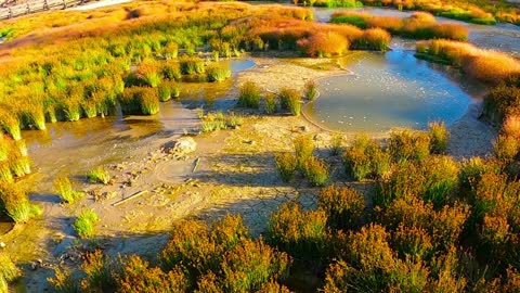 Mud Pits of Yellowstone