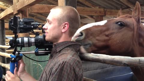 A man struggles to keep it together while filming – Horse’s next move leaves him LOL.