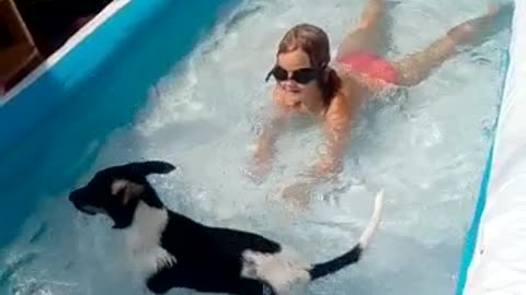 Most Adorable moment when Puppy enters the pool