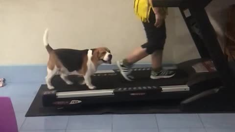 This Woman Has Found Herself The Best Exercise Partner