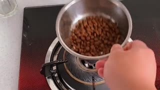 Fried dog food