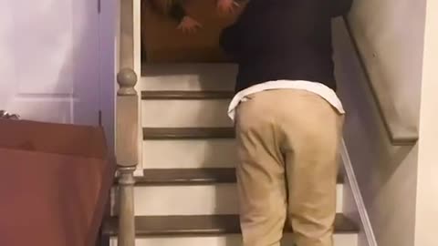 Funny fail on stairs