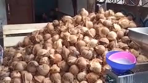 Coconut oil seller and maker