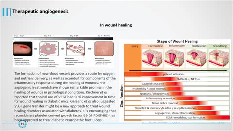 Angiogenesis Assay