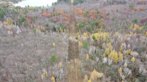 Long Flight - Fall - Over the forest and lakes!