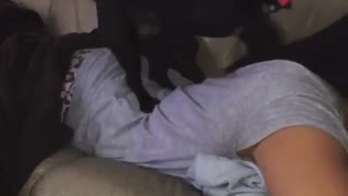 Puppy Unintentionally Gives Owner A Soothing Backrub