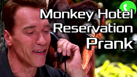 Apes Ruin Arnold's Hotel Reservation - Prank Call