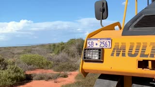 Infestation of Flies Get in Workers Way