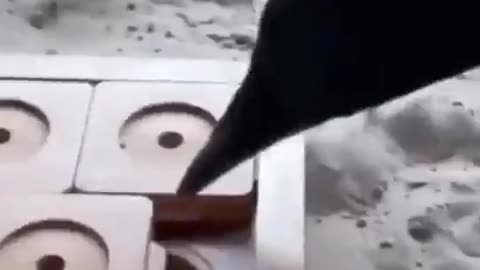 When a crow is so smart