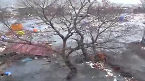 Japan tsunami