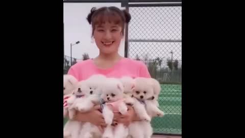 😍 Cute Baby Dogs 😍 7th May 2021