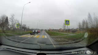 Dog Uses Pedestrian Crossing like a Person