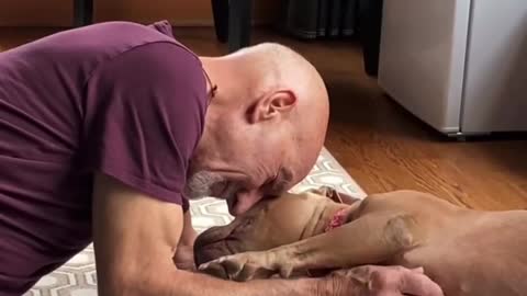 Sir Patrick Stewart with foster pup Zoe.