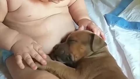 Adorable baby touches sleepy pupy😊