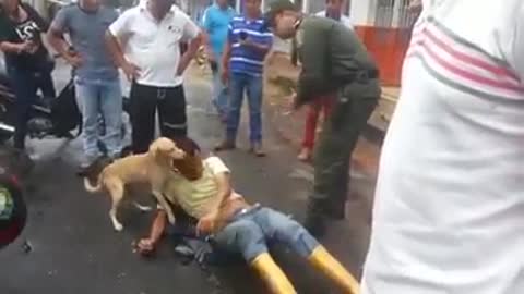 A dog defends his dead drunk master!