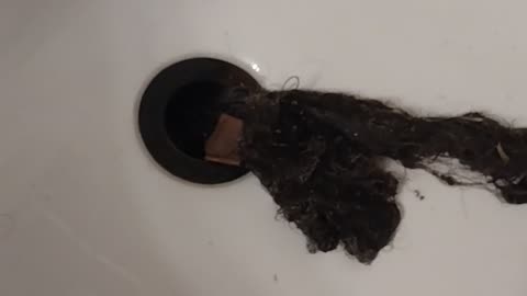 Getting Hair Out Of The Bathroom Tub