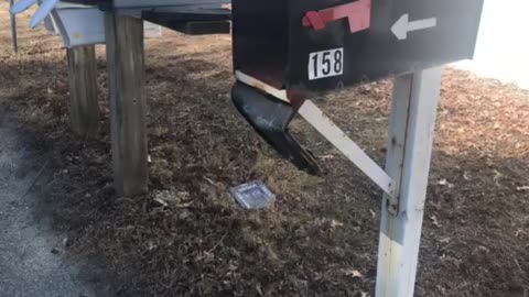 Mailbox damage