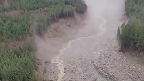 Massive Bute Inlet landslide destroys wildlife habitat on B.C. coast