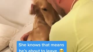 Pup gets sad every time owner gets dressed for work