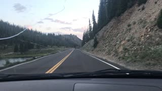 Playing Chicken with an Elk in the Rocky Mountains
