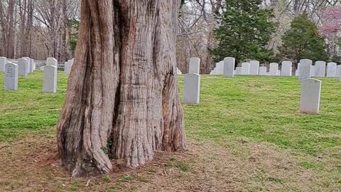 Fort Donelson Tennessee Nat'l Battlefield Cemetery. 1867