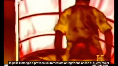 E' il 5G per scopi di controllo di massa? Questo video dimostrativo del 2014 sembra CONFERMARLO