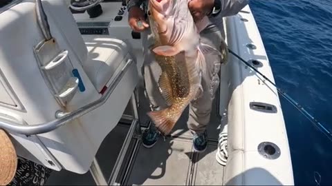 Keeper Grouper