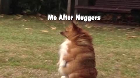 Me before and after nuggers