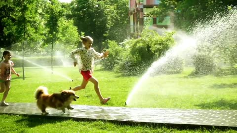 Girls playing with dog in the park