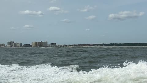 View of the beach