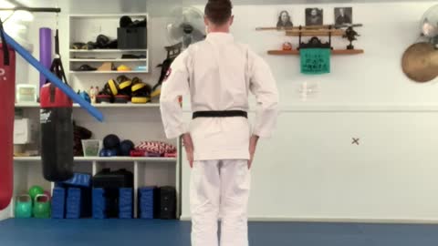 Karate Beginner Class 6