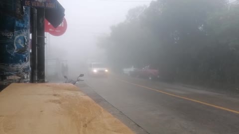 Neblina densa