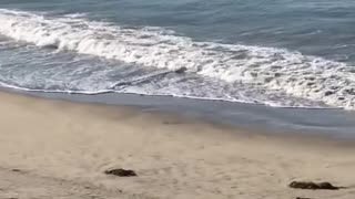 Guy doing squats on sand beach