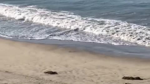 Guy doing squats on sand beach