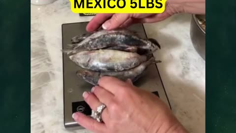 Sardines - Gulf of Mexico 5lbs