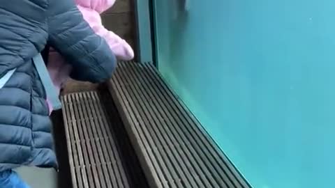 Baby can't stop laughing at swimming otter at the zoo