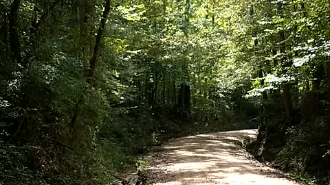 Back trail off the Natchez Trace, MS