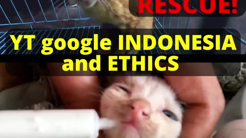 Despicable YT google Indonesia censorship of animal rescuers - censored on rumble also