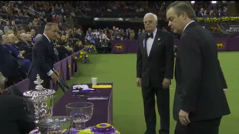 King wins Best in Show at the 2019 Westminster Kennel Club Dog Show