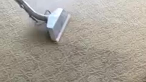 Certified Carpet Cleaning San Diego By LCS Janitorial Services