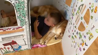 Little Boy Uses His Shiba Inu Best Friend As His Own Personal Pillow