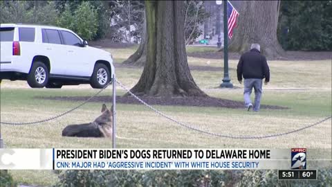 Joe Biden Ships His Dog Off to Delaware After He Bites White House Security