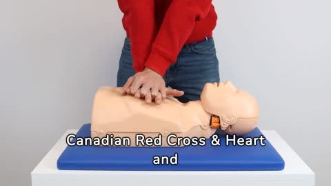 Deciding On the Right First Aid Training Program