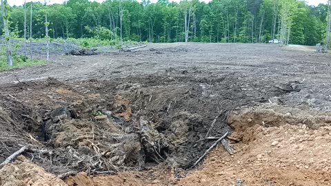 Tree Stump Disposal - Property Update