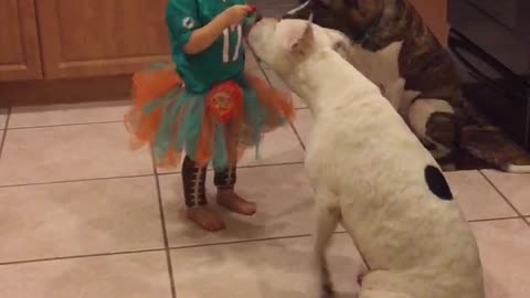 Mackenzie feeding her dogs in her tutu